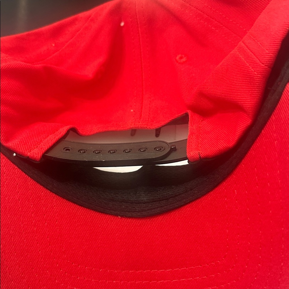 Element Red Baseball Cap with Circular Tree Logo - Picture 4 of 6